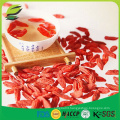 Goji fruit extraction dried fruit goji Berry